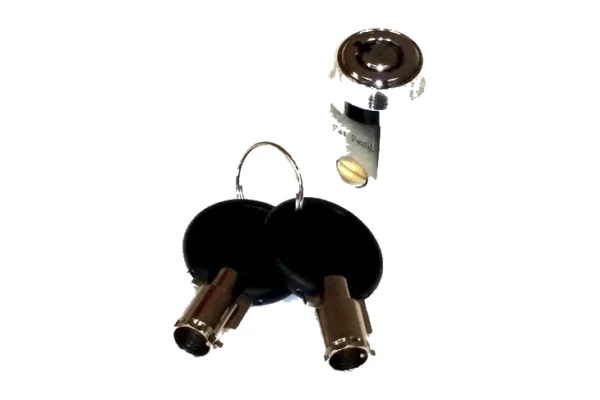 Chrome barrel replacement lock cylinder shown with two black-headed barrel keys on a white background