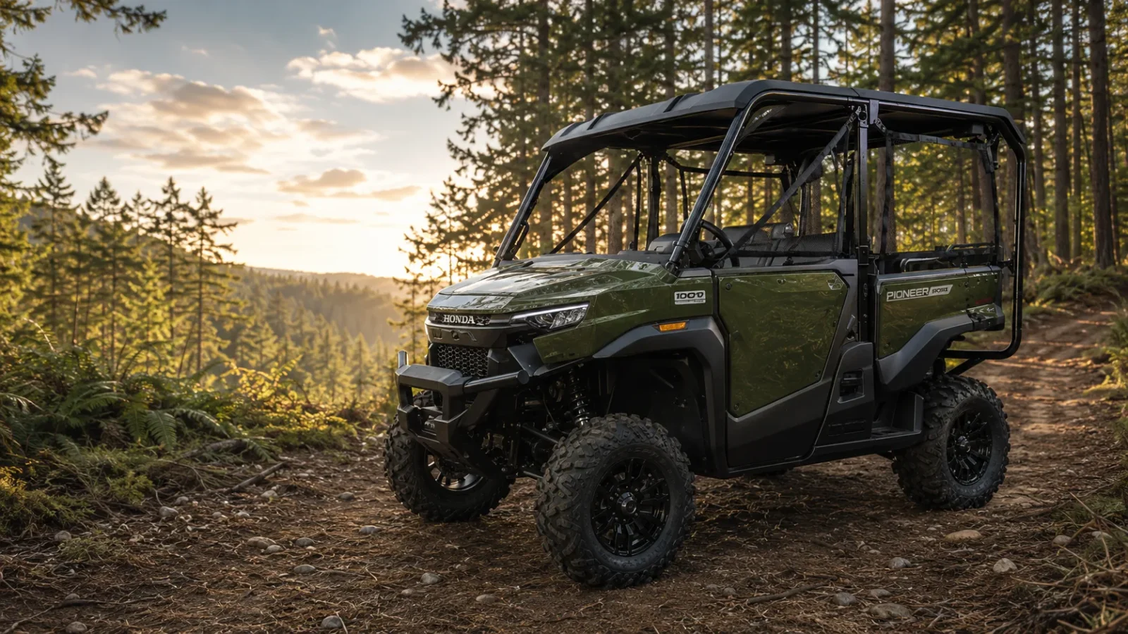 Honda Pioneer 1000 in olive green on a pine-forest two-track at golden hour